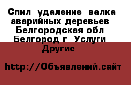 Спил, удаление, валка, аварийных деревьев - Белгородская обл., Белгород г. Услуги » Другие   